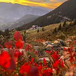 Acherberg Alm Bed & Breakfast Oetz