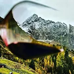 Acherberg Alm * Oetz