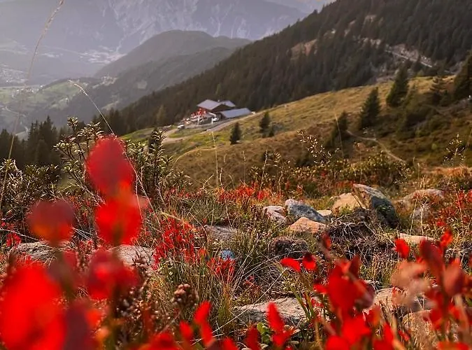 Acherberg Alm Bed and Breakfast Oetz