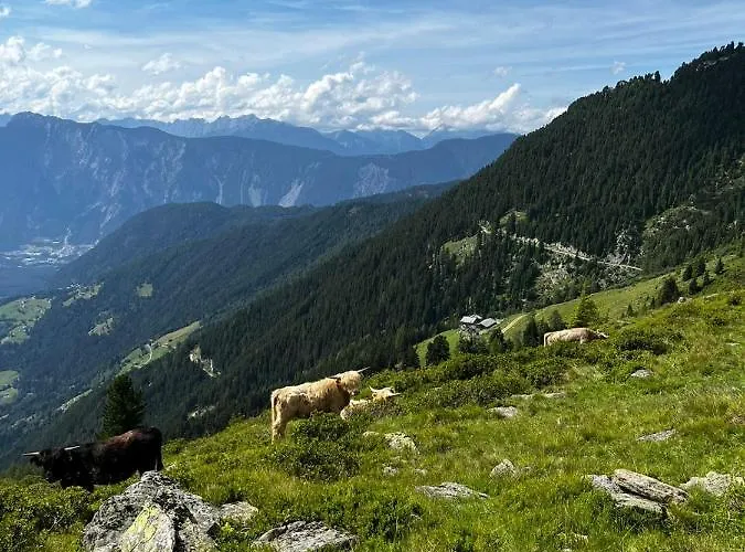 Acherberg Alm Bed and Breakfast