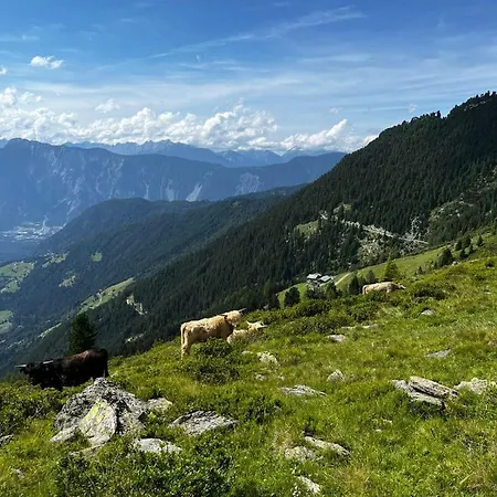 Acherberg Alm 住宿加早餐酒店