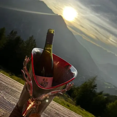 Acherberg Alm 厄茨